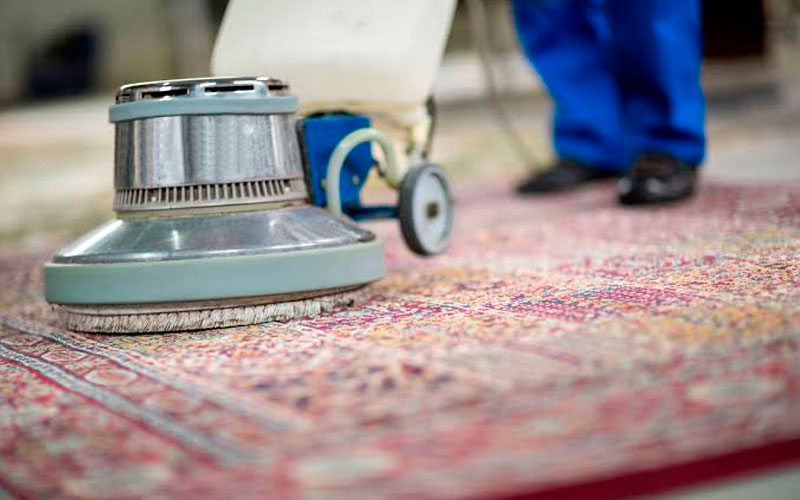 Professional cleaning team