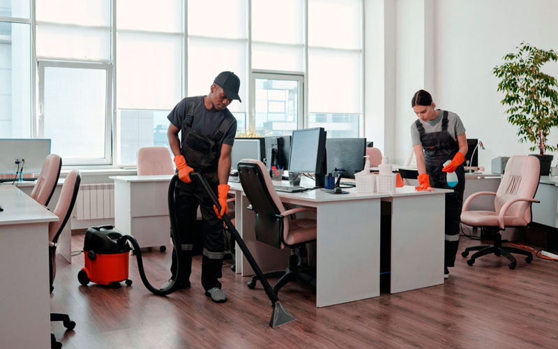 Professional cleaning team